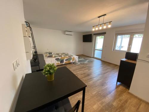Horbourg-Wihr Apartment | Studio climatisé 30 m2 à 2 min de Colmar
