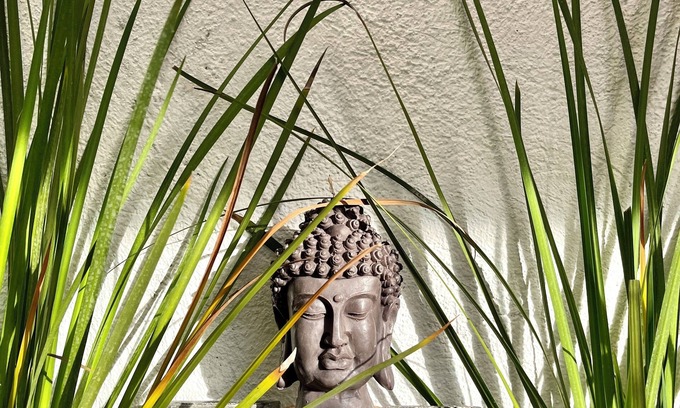 Cancun Apartment | Studio-condo relaxed and comfortable atmosphere in Cancun