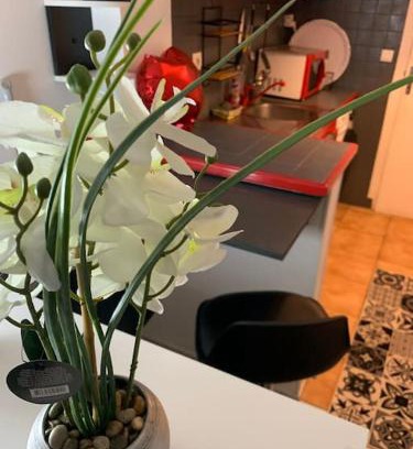 Morangis Apartment | Studio coquet