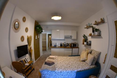 Voiron Apartment | Studio Elégance Naturelle proche gare