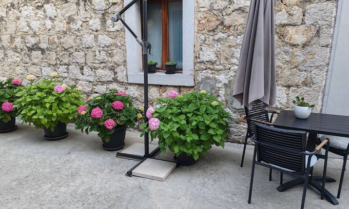 Zaton Apartment | Studio flat with terrace Zaton Veliki, Dubrovnik (AS-2107-b)