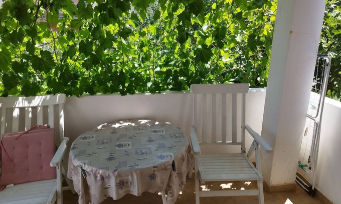 Tkon Apartment | Studio flat with terrace and sea view Tkon, Pašman (AS-6221-a)