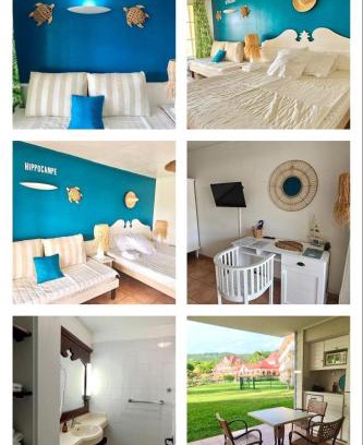 Gros Raisins Apartment | Studio Hippocampe P&V