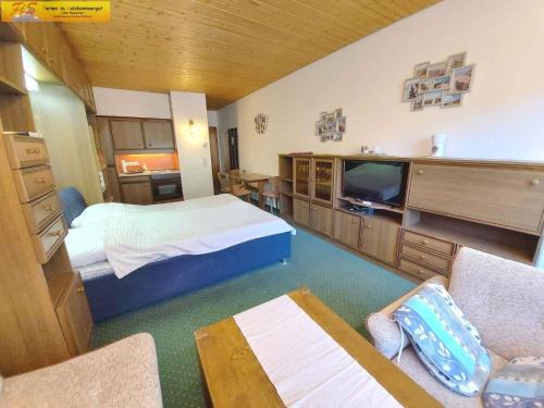 Tauplitz Apartment | Studio in Bad Mitterndorf - Steiermark 37017