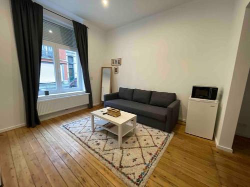 Laken Apartment | studio indépendant sans cuisine - Le coin cosy avec WIFI