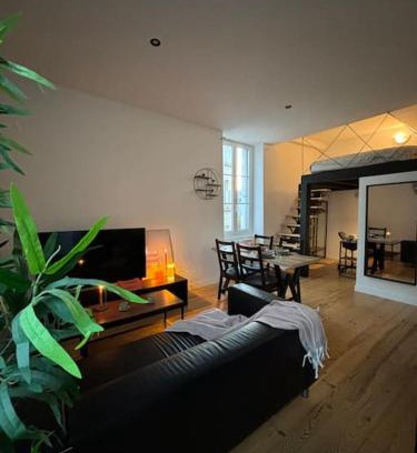 Saint-Roch - Badouillere - Chavanelle Apartment | Studio industriel, mezzanine, rénové, central 201