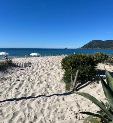 Les Sablettes Apartment | Studio Le Calypso les pieds dans l'eau 10 m mer