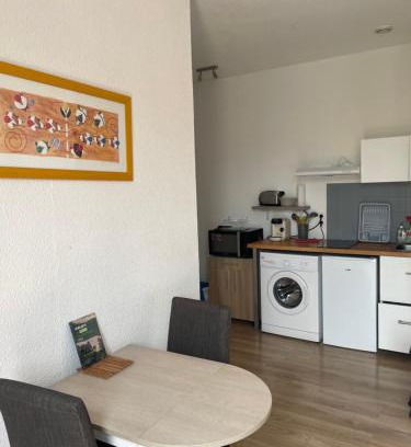 Salies-de-Bearn Apartment | Studio lumineux au calme en centre ville, face aux thermes