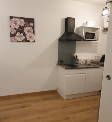 La Real Apartment | Studio Maillol centre historique Perpignan