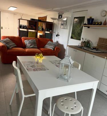 Wepion Apartment | Studio renové rdc terrasse wépion (Namur)