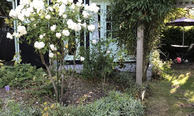 Greytown Cottage | Studio set in beautiful english cottage gardens