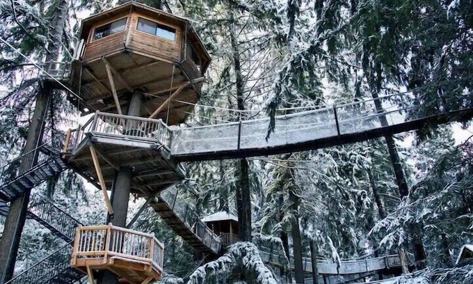 Cave Junction Resort | Stunning 47 foot high Treehouse!
