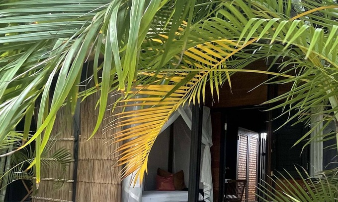 English Harbour Apartment | Stunning Bali style studio suite on lush property in English Harbour!