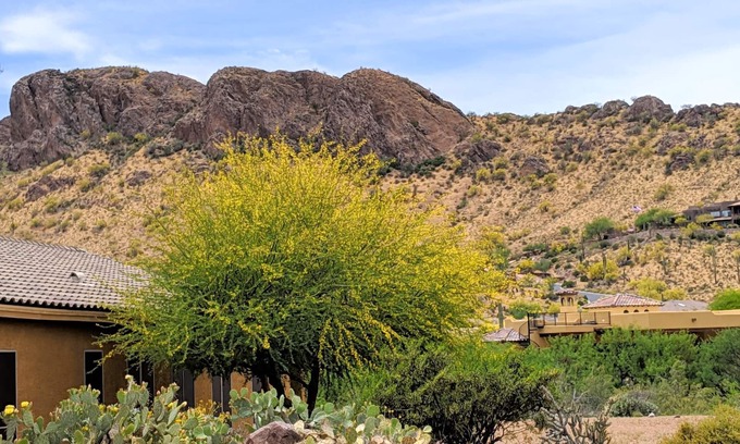 Gold Canyon House | Stunning Mountain Views from this Gold Canyon Home!
