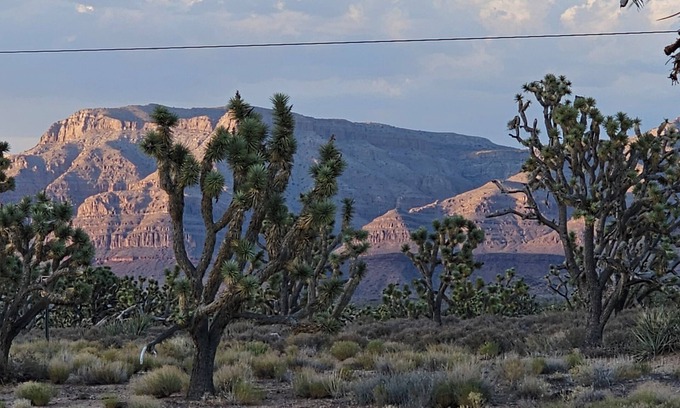 Meadview Cabin | Stunning Views! Rustic cabin facing the base of Grand Canyon West