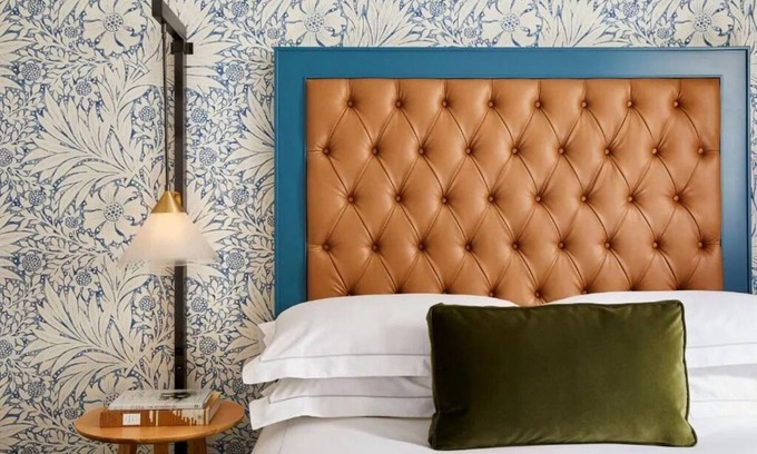 Downtown Denver Hotel | Stylish Getaway Perfect for Pet Owners Steps from Colorado Convention Center