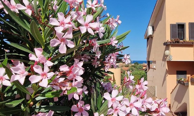 Costa Rei House | SU BISU Costa Rei R4991 terrace with sea view, 500m from the beach