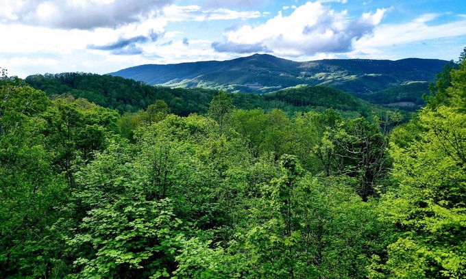 Sugar Mountain House | Sugar Mountain getaway with a sweet view!
