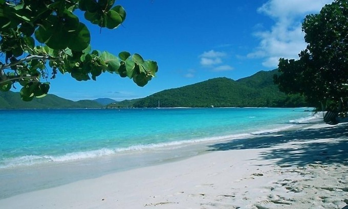 Maho Bay Quarter House | Suite on the Beach - Very Rare White Sand Beachfront- Heart of the National Park