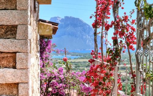 Porto San Paolo House | Suite Suliana