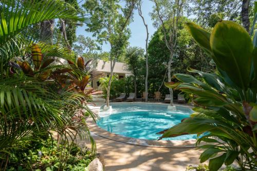 Zama Apartment | Suites at TreeTops Tulum