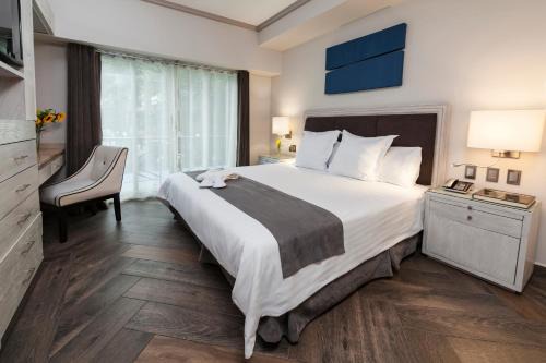 Colonia Cuauhtemoc Apartment | Suites Del Ángel