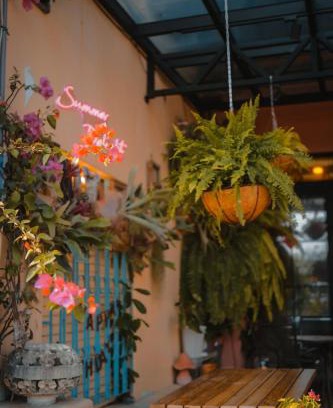 South Beach House | Summer Delight B&B