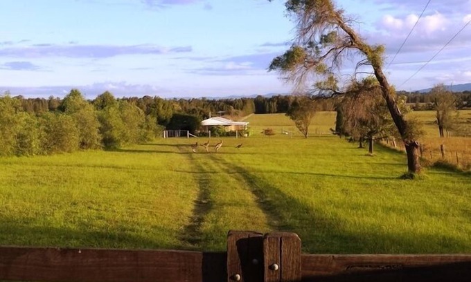 Lovedale Cottage | Summerfield - your home in the Hunter