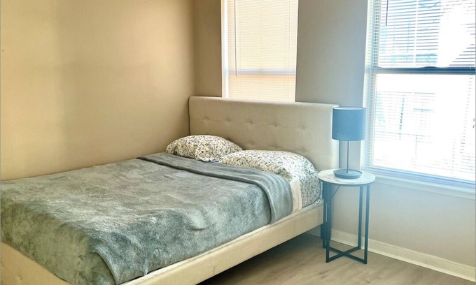 Northeast Apartment | Sunfilled studio space with Laundry and WiFi in charming DC