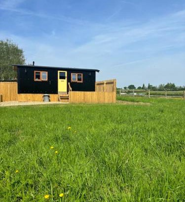 Staple Hill Apartment | Sunflower Hut