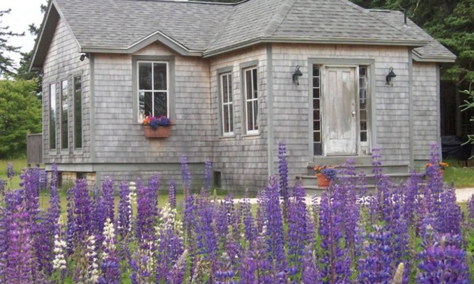 Stonington Cottage | Sunlit Cottage on Crockett Cove