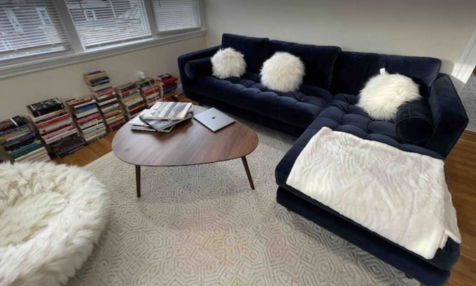 North Cambridge Apartment | Sunny, beautiful, cozy and spacious Cambridge apt.