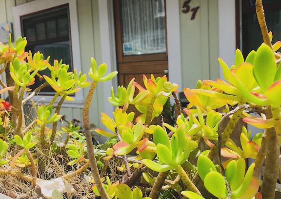 Dillon Beach House | Sunrise Cottage by the Beach