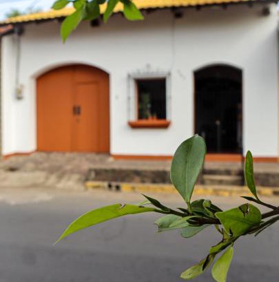 Leon House | Sunrise Guest House