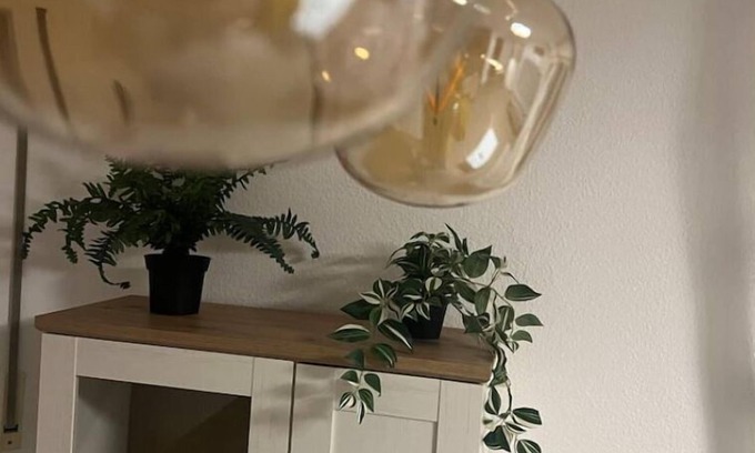 Urbar Apartment | Sunset Apartment mit Rheinblick