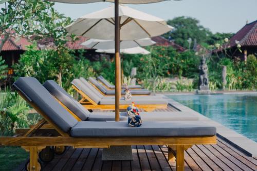 Mushroom Bay House | Sunset Star Huts