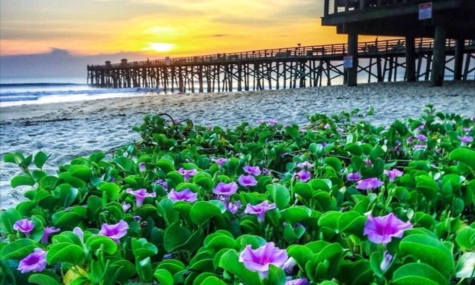 Flagler Beach Apartment | Sunshine Daydream in the heart of Flagler Beach