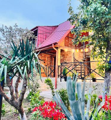 Kutaisi Villa | Sunshine House