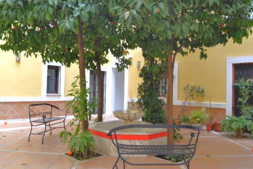 Distrito Centro Apartment | SunShine Patio del Consistorio