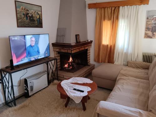 Karpenisi Apartment | Super central apartment with a view