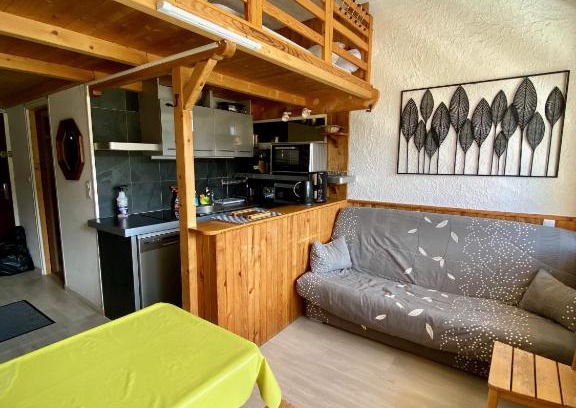 Laveissiere Apartment | SUPER LIORAN - APPARTEMENT ENTIÈREMENT ÉQUIPÉ