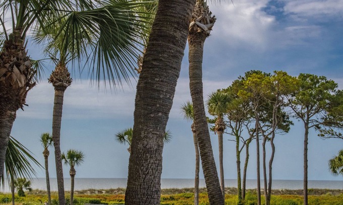 Hilton Head Island Condo | SUPER NICE! New King Bed! Great Ocean View!1 BD ~ 1 BA, 2 Bikes! #136