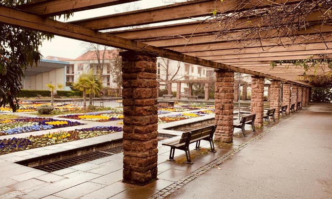 Kornwestheim Apartment | Superior-Apartment near Stuttgart Garden & Sauna