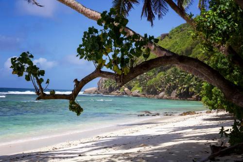 Anse Royale Ski Chalet | Surfers Beach Self Catering Chalets