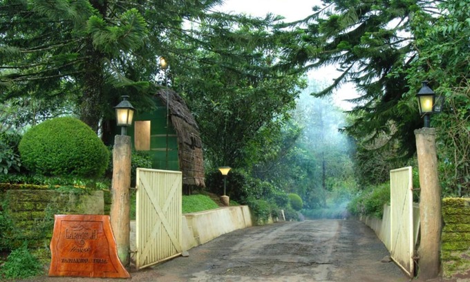 Vandanmedu Cottage | Surrounded Grassland Tree house Stay