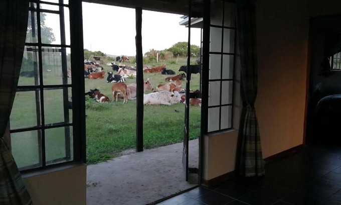 uMhlabuyalingana House | Suthu Farm House