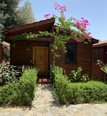 Hayitbuku Apartment | Suzi'nin Bahçesi Bungalov Evler