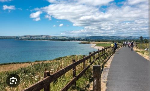 Dungarvan House | swallows nest