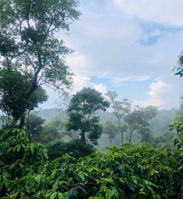 Madikeri House | Swapna Estate Stay Coorg