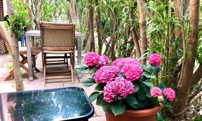 Trinita d'Agultu e Vignola Apartment | Sweet Home Mare Li FERULI